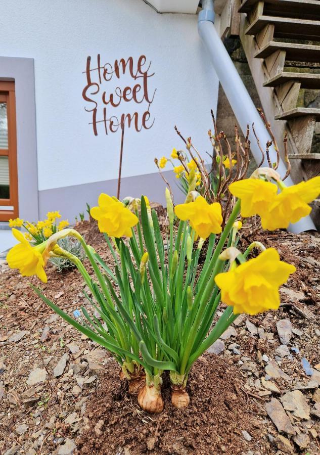 Daffodils Villa Enscherange ภายนอก รูปภาพ